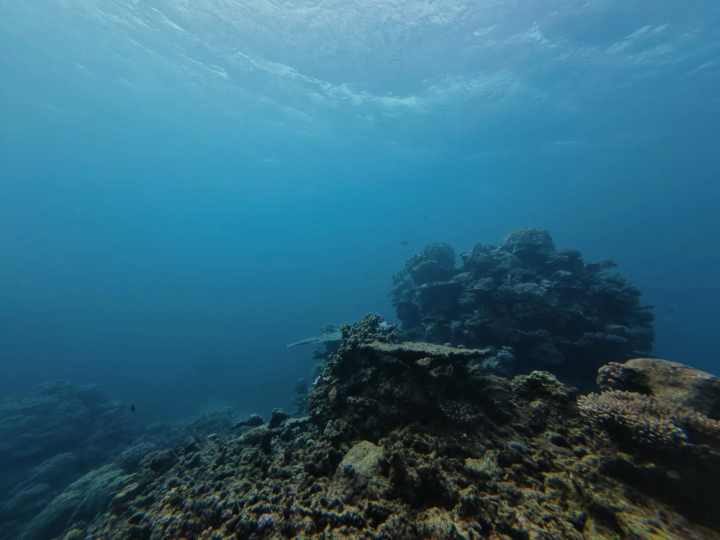 Dive Site Reviews