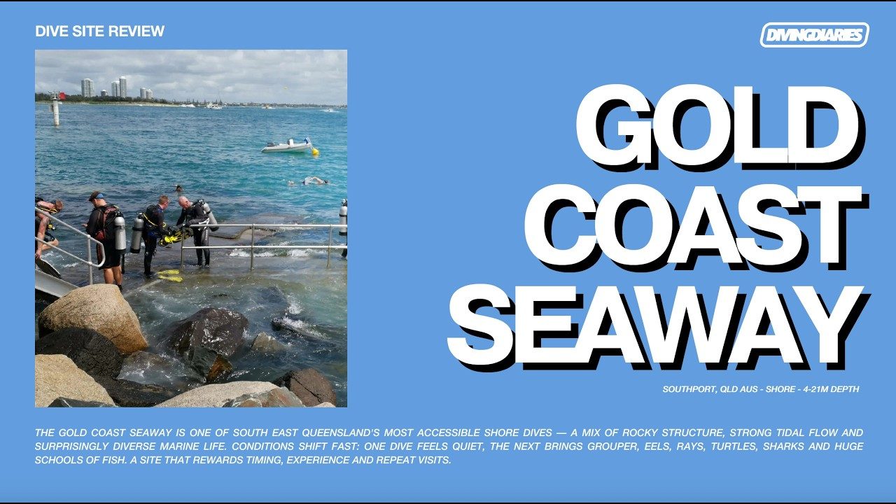 Gold Coast Seaway: Queensland's Best Shore Dive?