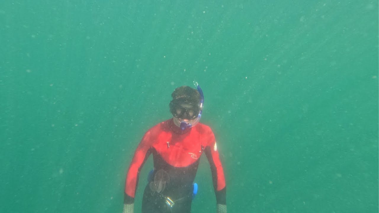 Gold Coast Seaway | Entry #15