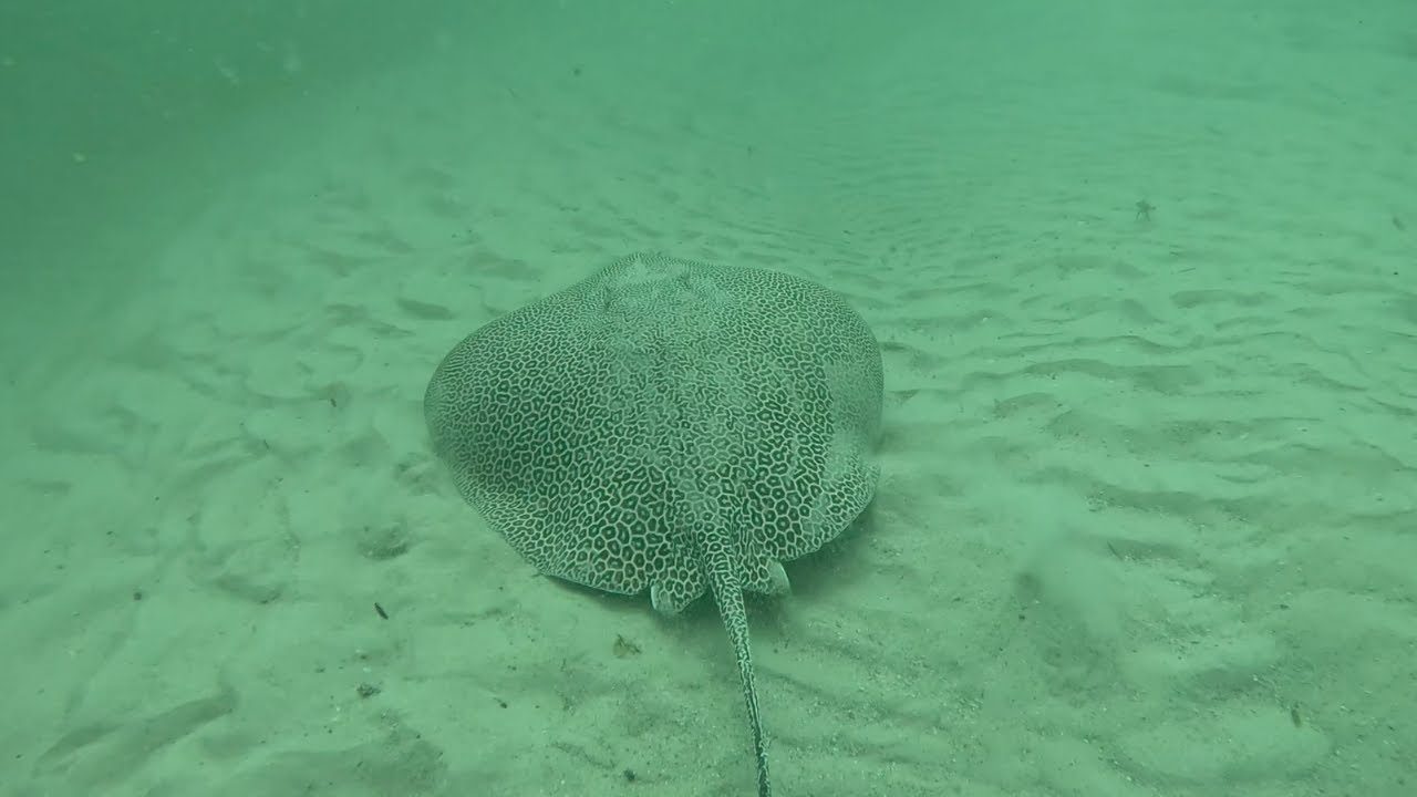 Gold Coast Seaway | Entry #30